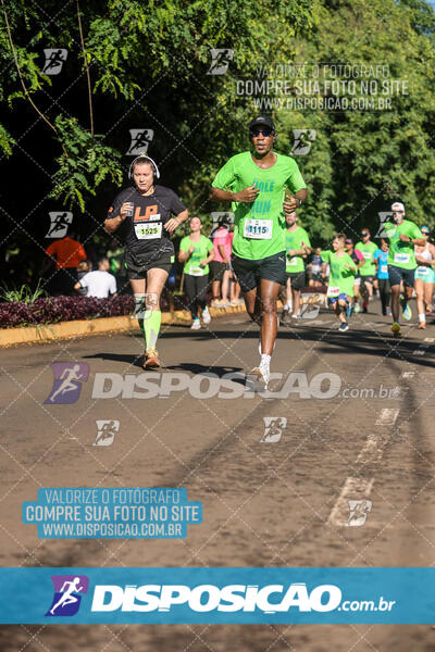 Vale Verde Run 2024