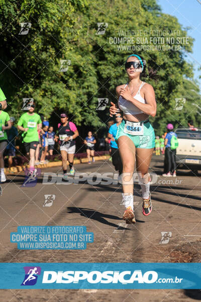 Vale Verde Run 2024