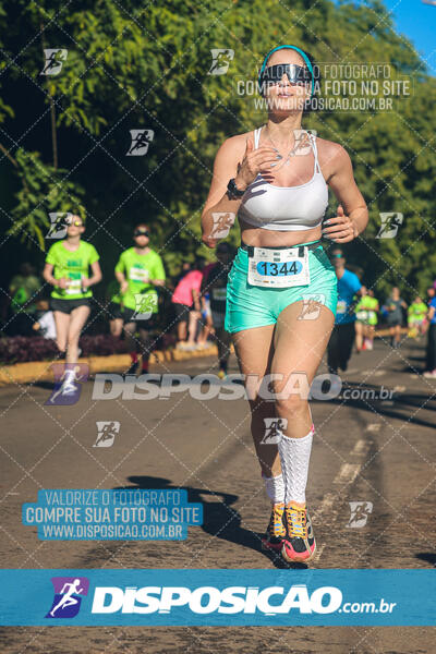 Vale Verde Run 2024