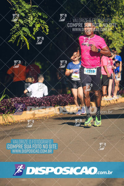 Vale Verde Run 2024