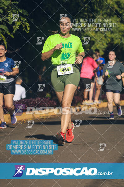 Vale Verde Run 2024