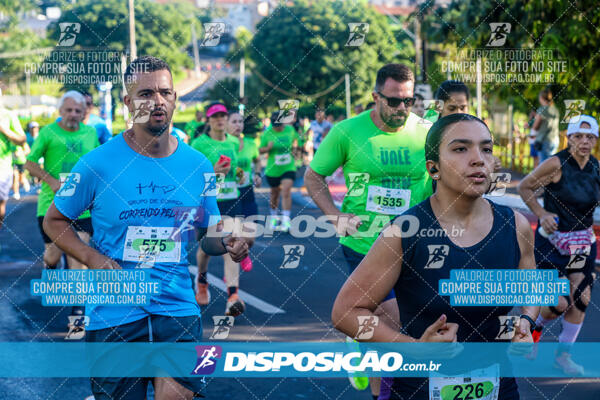 Vale Verde Run 2024