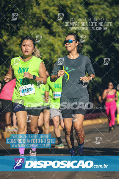 Vale Verde Run 2024