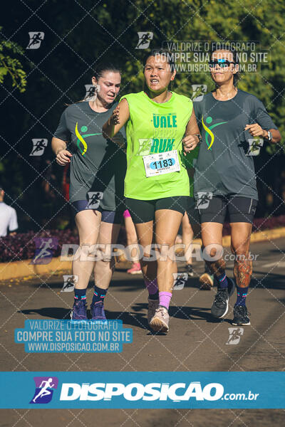 Vale Verde Run 2024