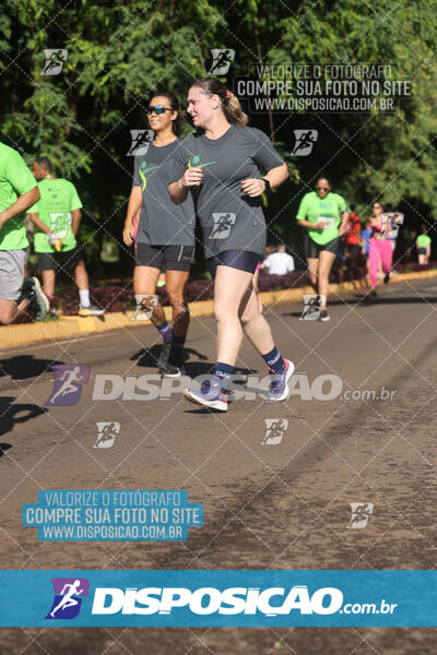 Vale Verde Run 2024