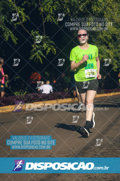 Vale Verde Run 2024