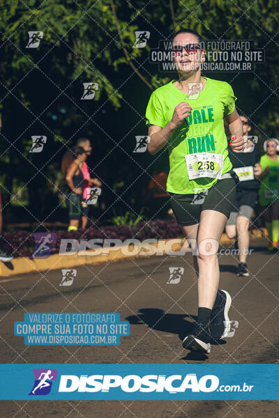 Vale Verde Run 2024