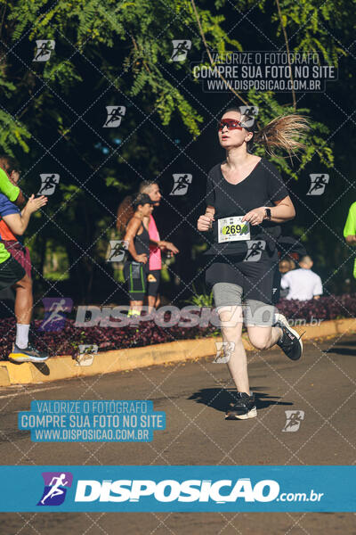 Vale Verde Run 2024