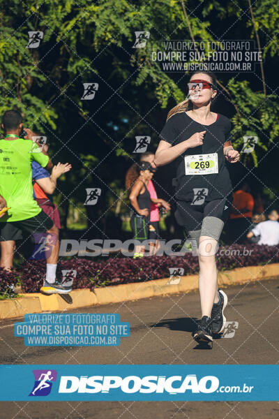 Vale Verde Run 2024