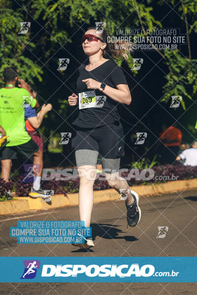 Vale Verde Run 2024