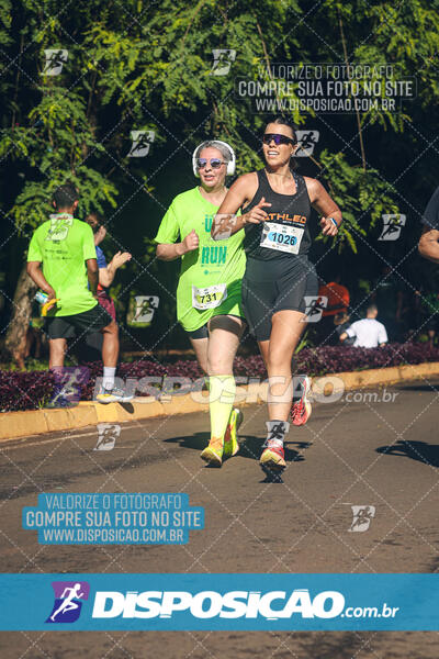 Vale Verde Run 2024