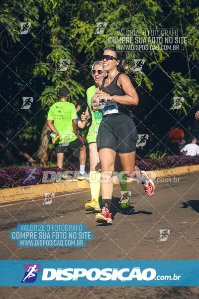 Vale Verde Run 2024