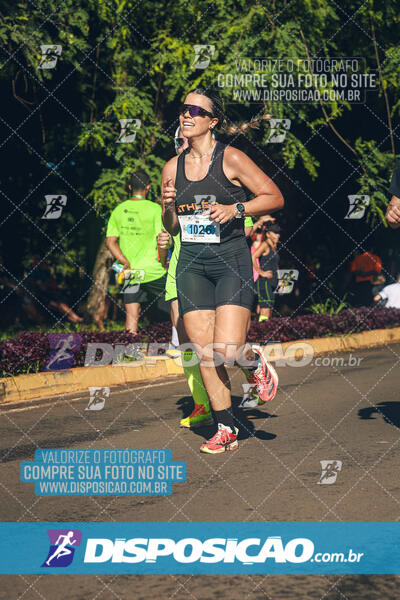 Vale Verde Run 2024