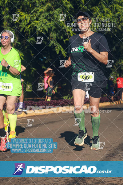 Vale Verde Run 2024