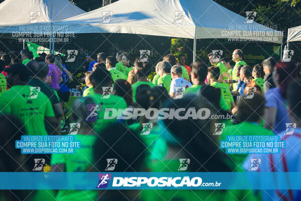 Vale Verde Run 2024