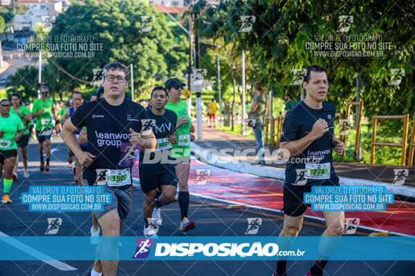 Vale Verde Run 2024