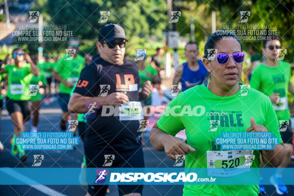 Vale Verde Run 2024