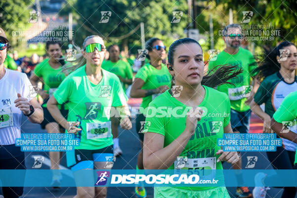 Vale Verde Run 2024