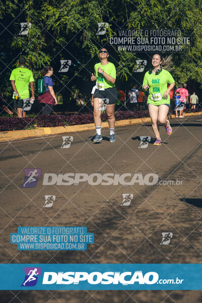 Vale Verde Run 2024