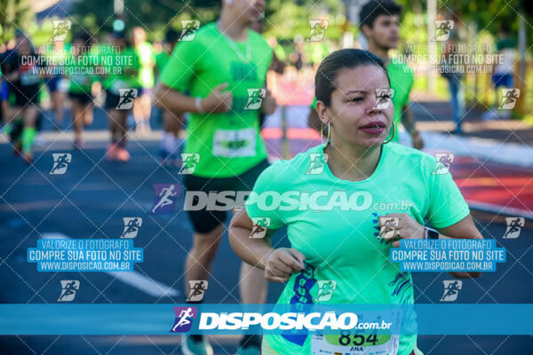 Vale Verde Run 2024