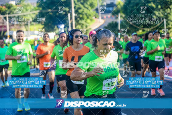 Vale Verde Run 2024