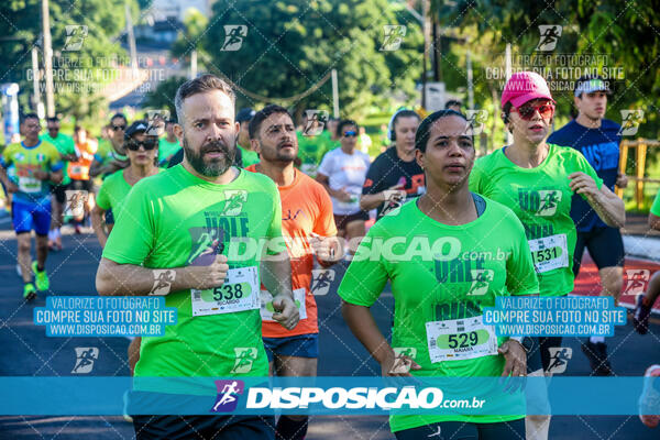 Vale Verde Run 2024