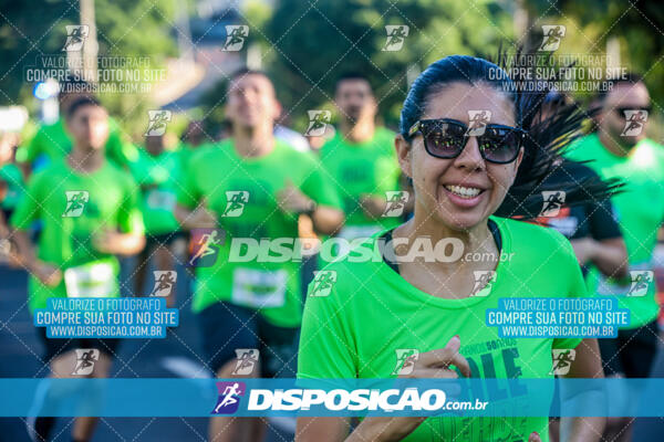 Vale Verde Run 2024