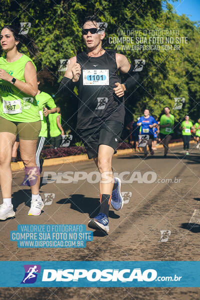 Vale Verde Run 2024