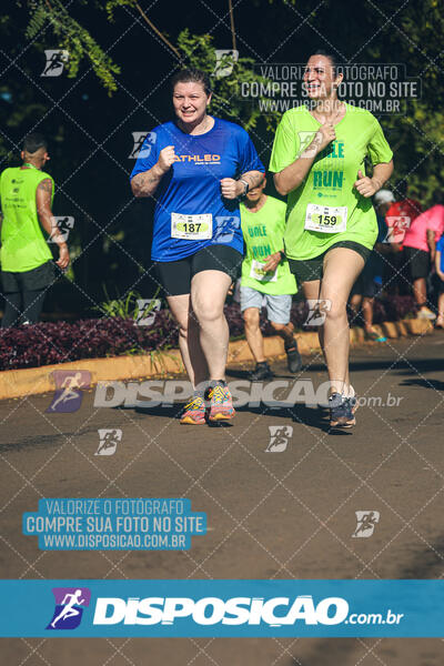 Vale Verde Run 2024