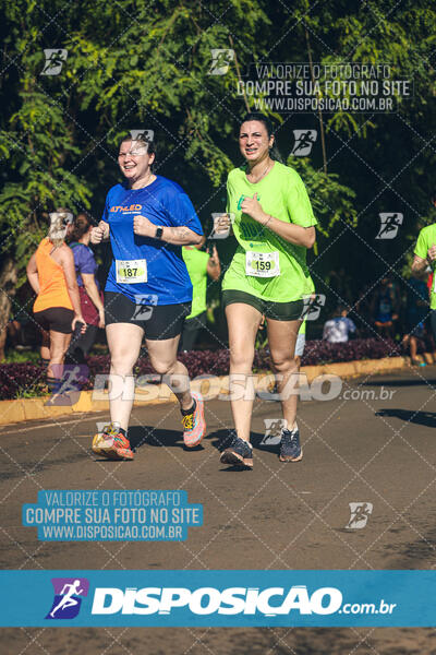 Vale Verde Run 2024