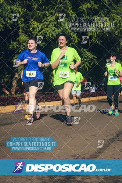 Vale Verde Run 2024