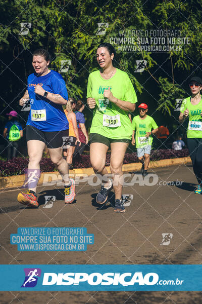 Vale Verde Run 2024