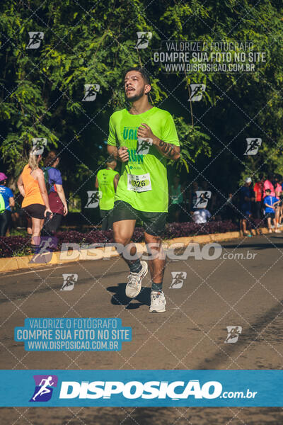 Vale Verde Run 2024