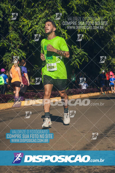 Vale Verde Run 2024