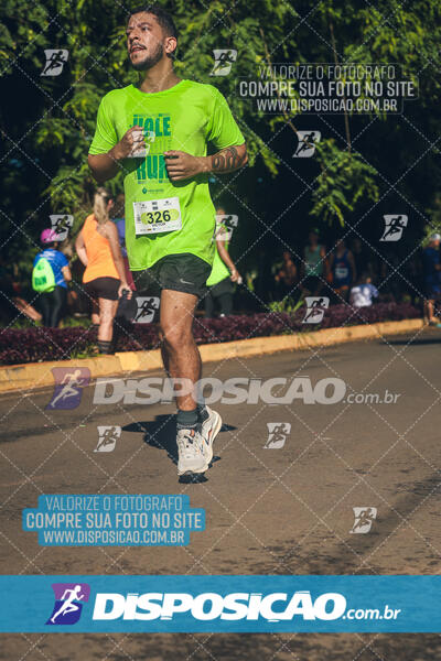 Vale Verde Run 2024