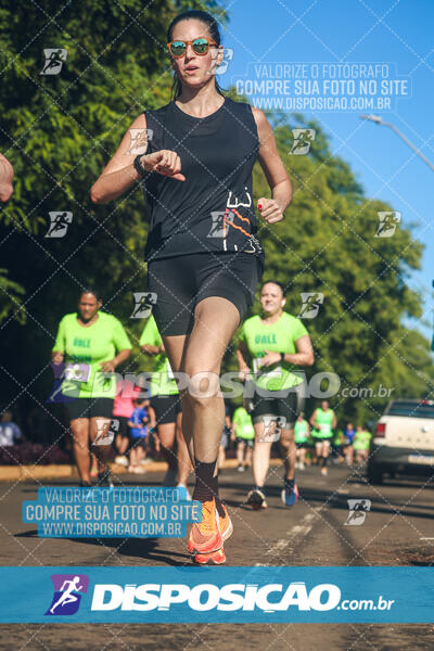 Vale Verde Run 2024