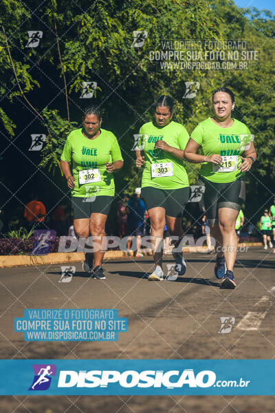 Vale Verde Run 2024