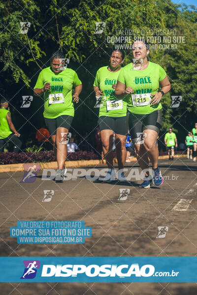 Vale Verde Run 2024