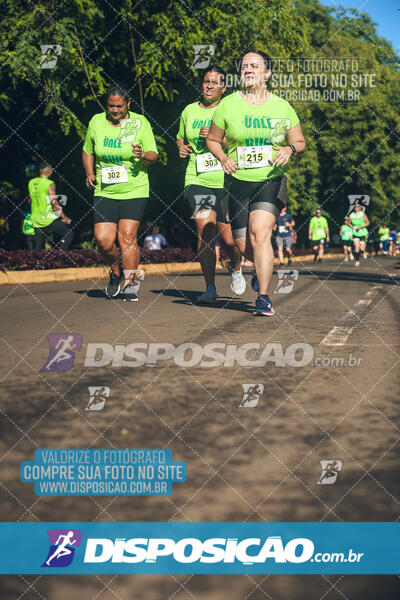 Vale Verde Run 2024