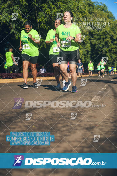 Vale Verde Run 2024