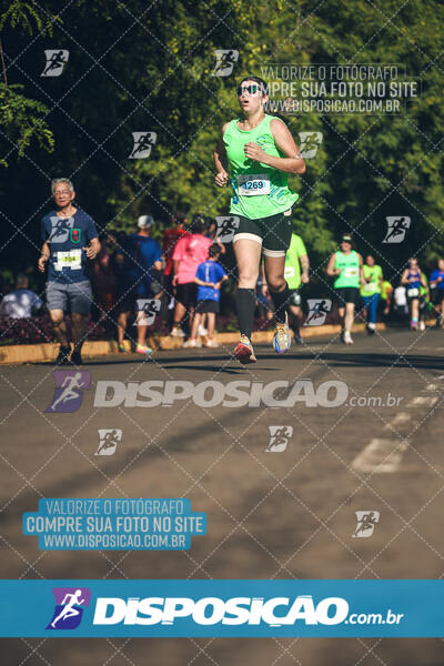 Vale Verde Run 2024