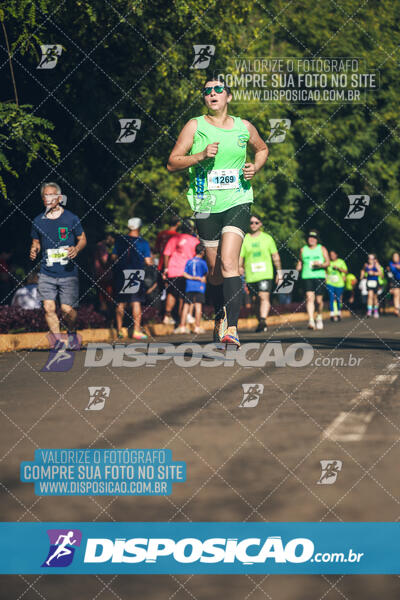 Vale Verde Run 2024