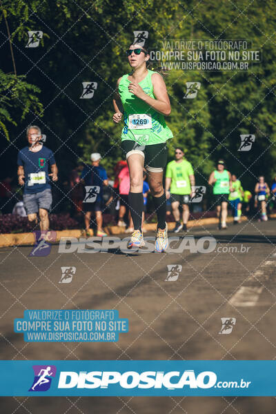 Vale Verde Run 2024