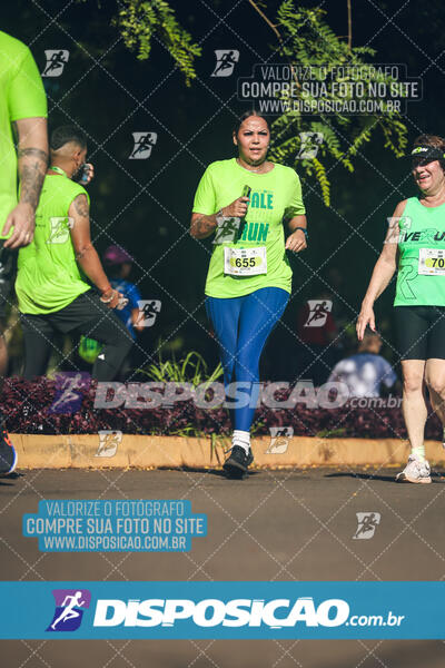 Vale Verde Run 2024