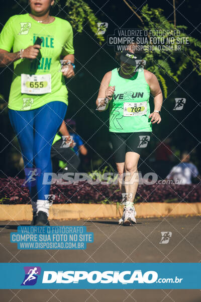 Vale Verde Run 2024