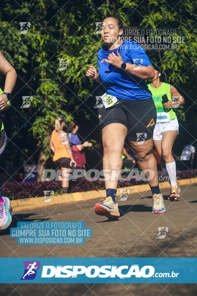 Vale Verde Run 2024