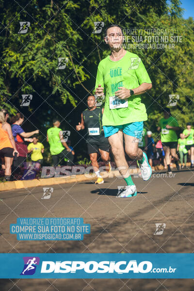 Vale Verde Run 2024