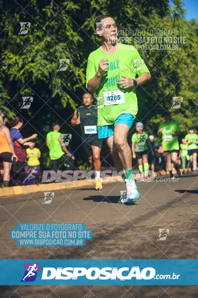 Vale Verde Run 2024