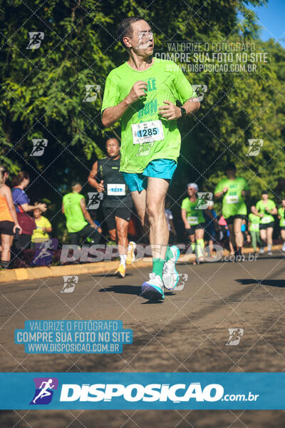 Vale Verde Run 2024