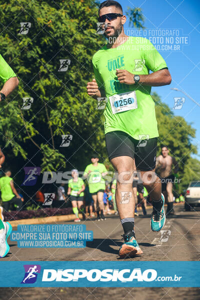 Vale Verde Run 2024